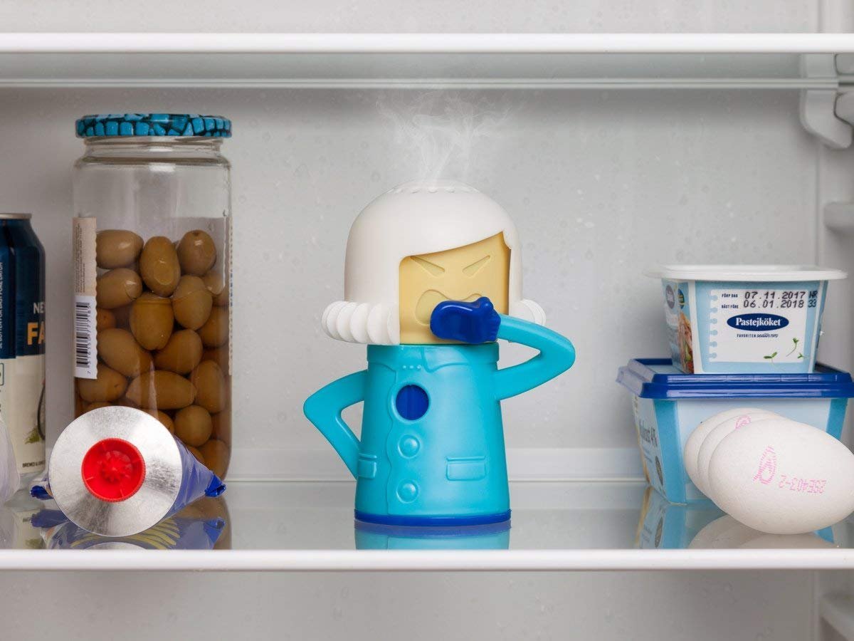 Fridge And Freezer Odor Absorber & Freshener