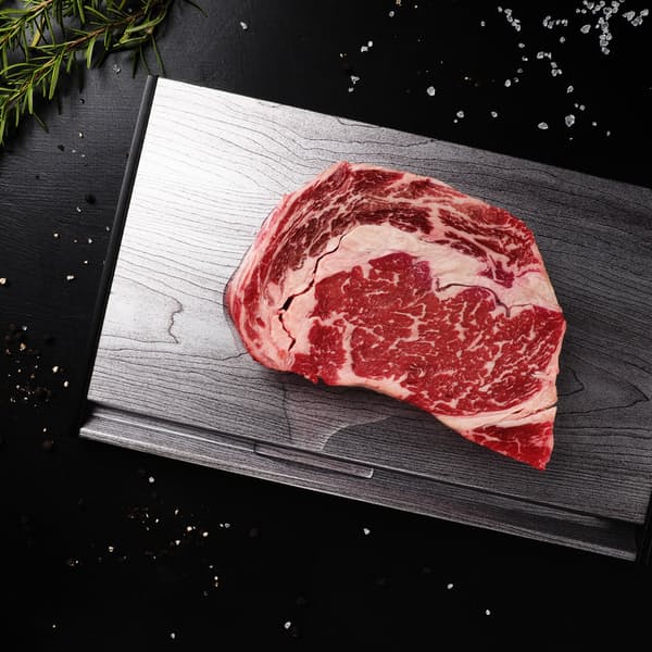 Frozen Food Thawing Plate