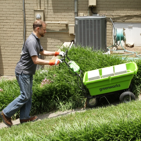 Garden Cart with 4Ah Battery and Charger