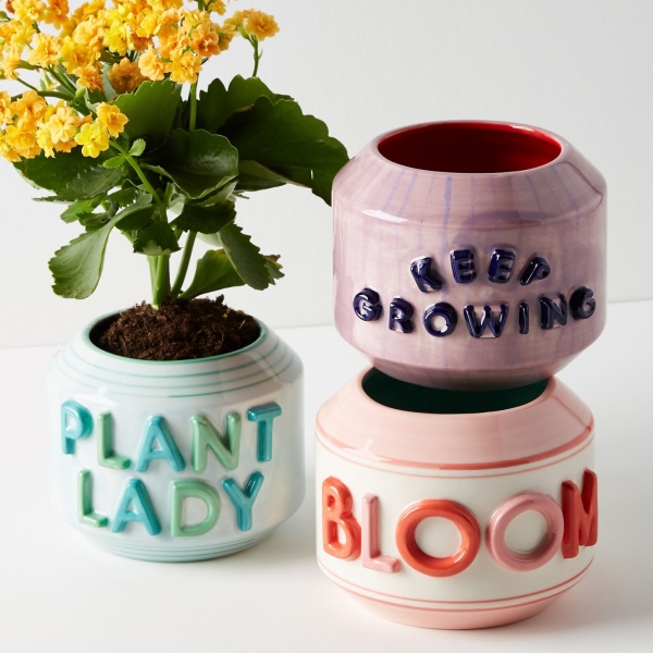 Garden Greeting Pot