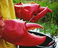 Giant Lobster Claws