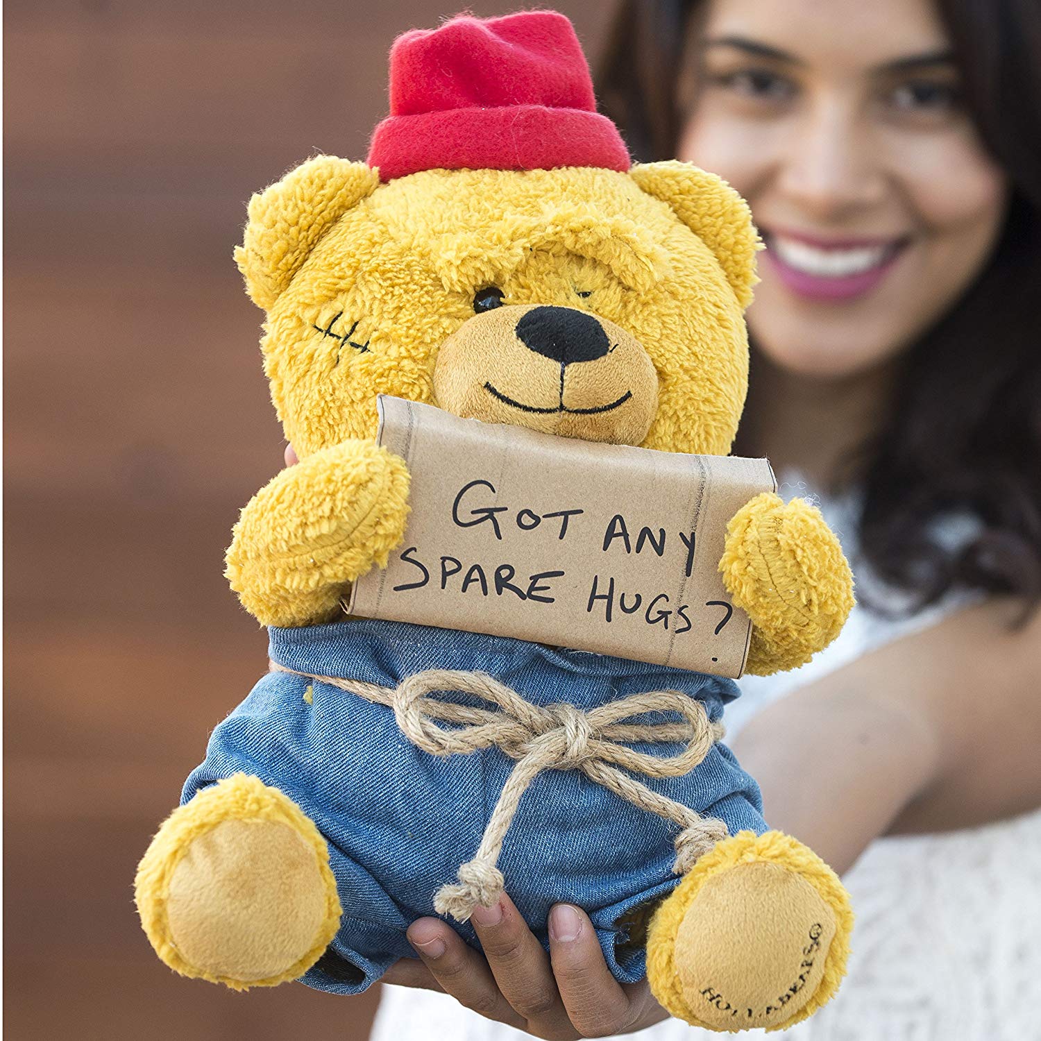 Got Any Spare Hugs? Homeless Teddy Bear