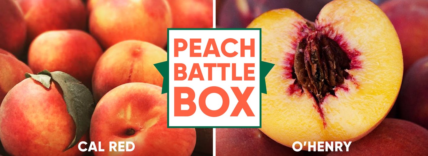 Gourmet Food Gifts From Iconic Eateries