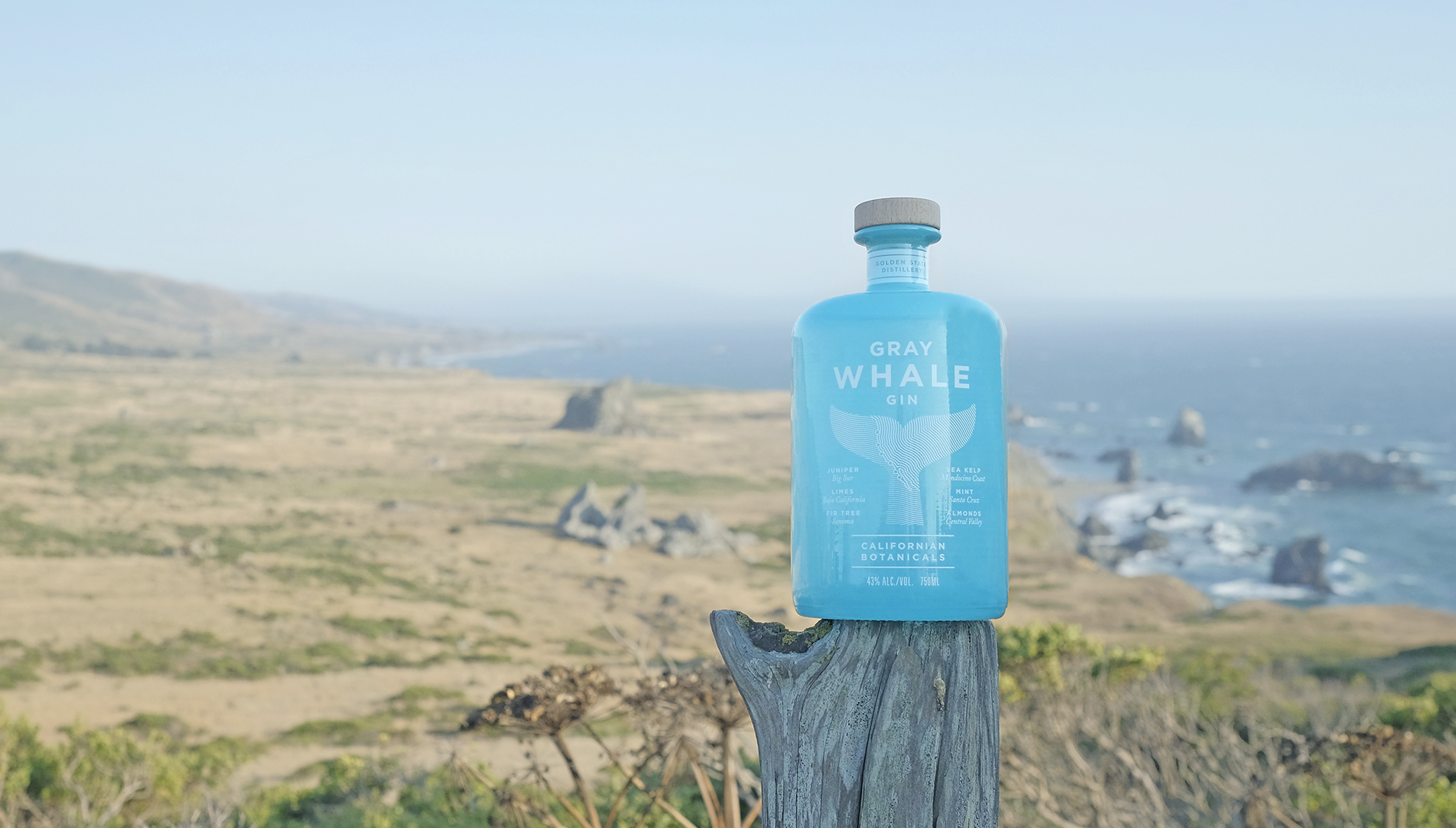 Gray Whale Gin