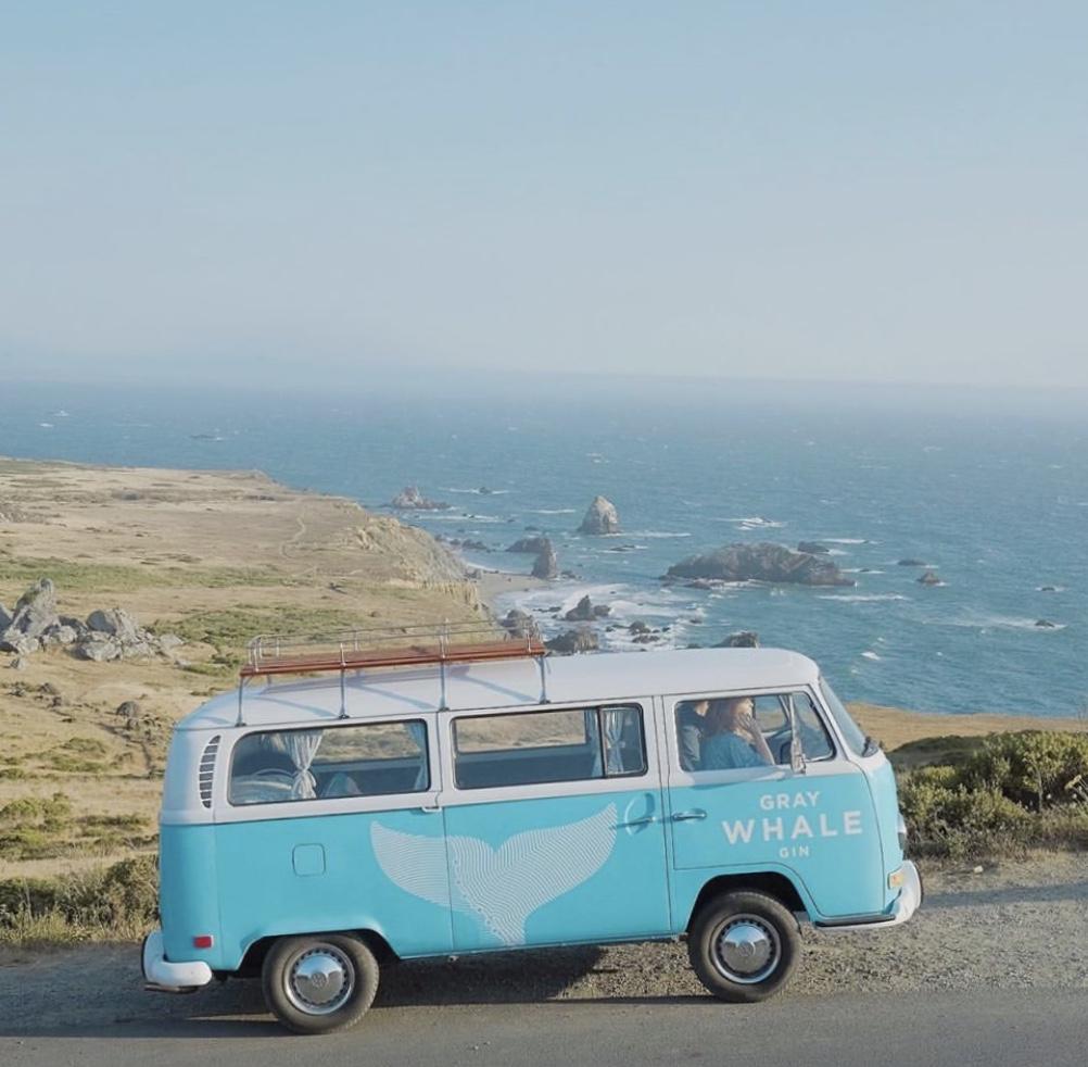 Gray Whale Gin