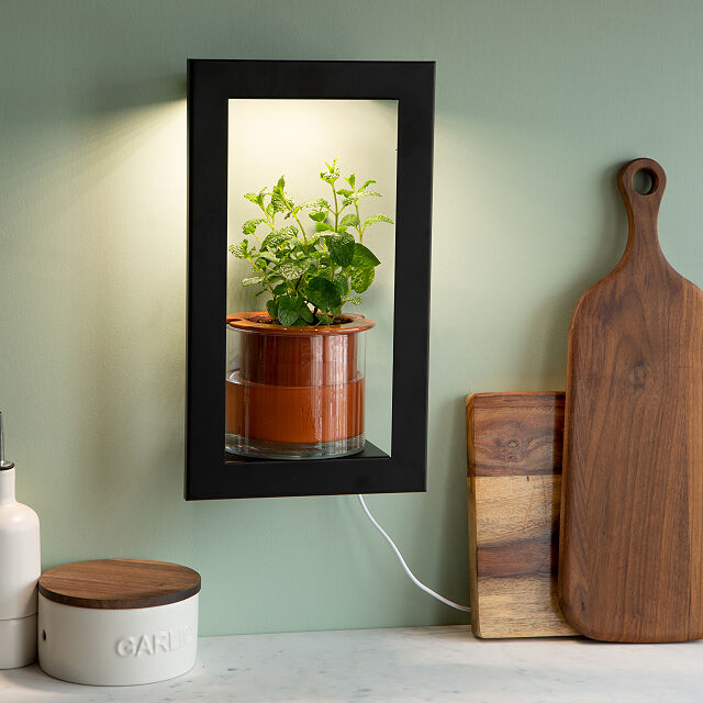 Growlight Frame Shelf