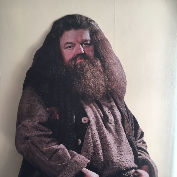 Hagrid Lifesize Cardboard Cutout