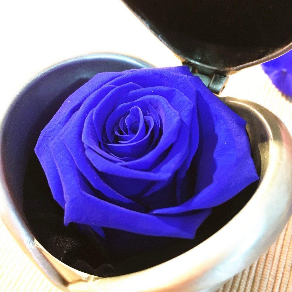 Handmade Preserved Rose