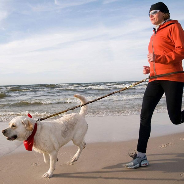 Hands-Free Dog Leash