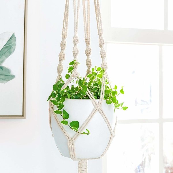 Hanging Plant Holder