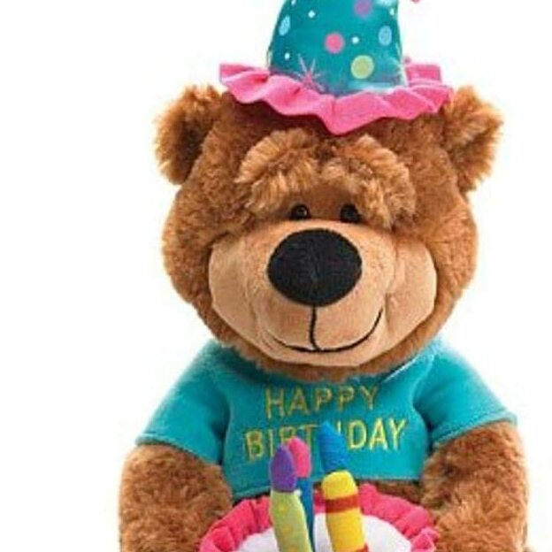 Happy Birthday Teddy Bear