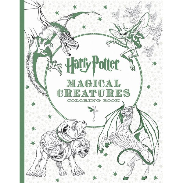 Harry Potter Coloring Book