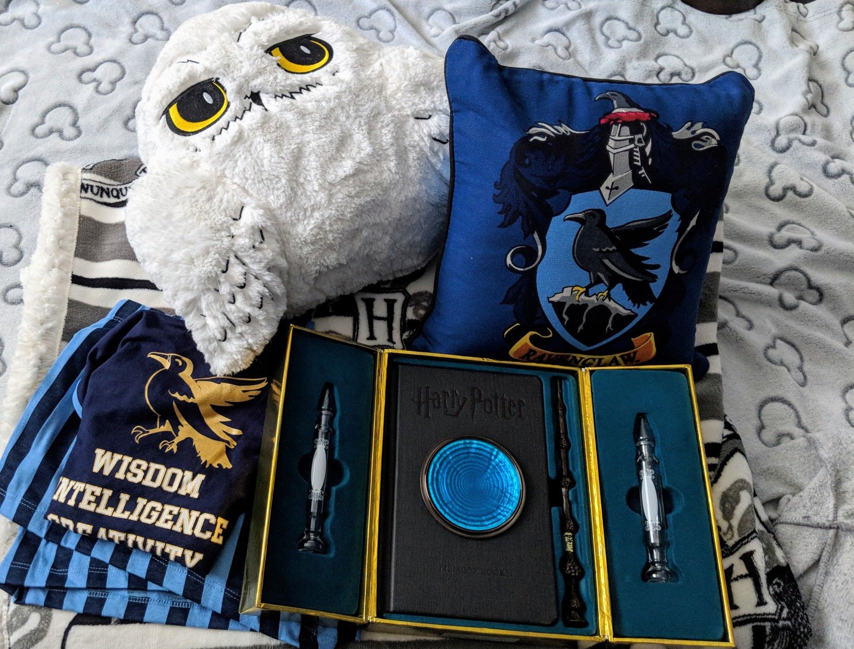 Harry Potter Pensieve Memory Set