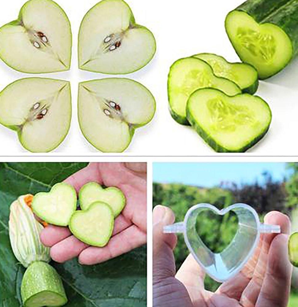 Heart Shaped Fruit Growing Molds
