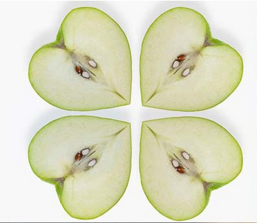 Heart Shaped Fruit Growing Molds