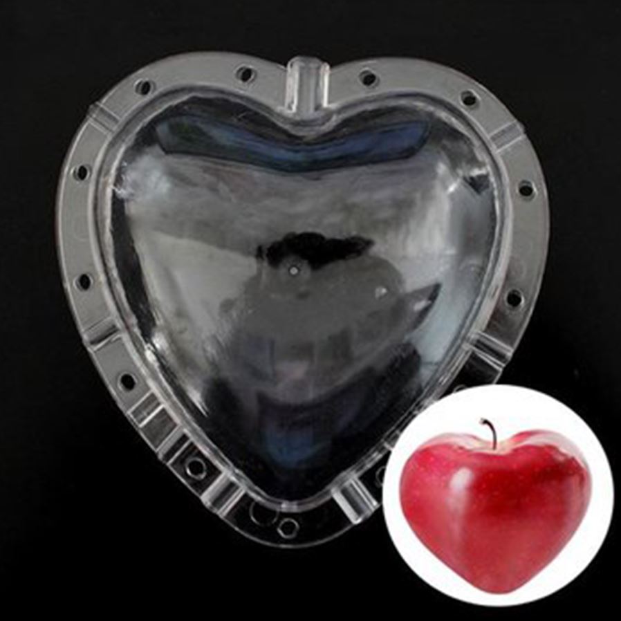 Heart Shaped Fruit Growing Molds