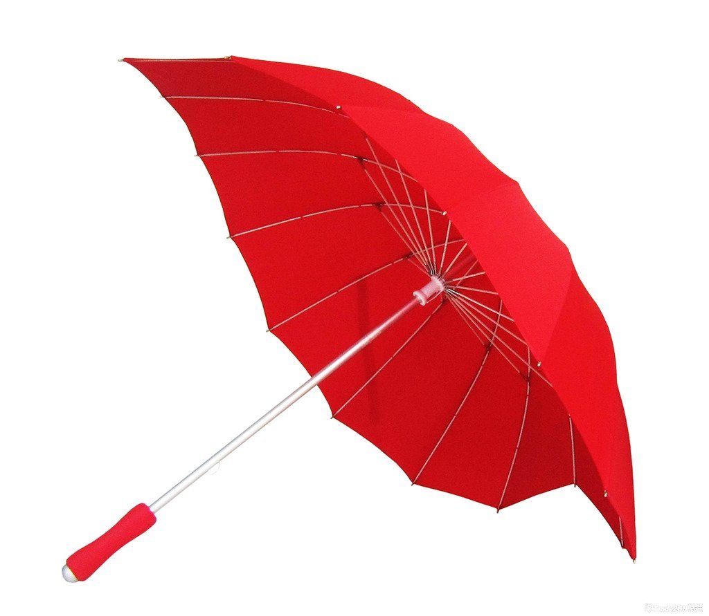 Heart Shaped Umbrella