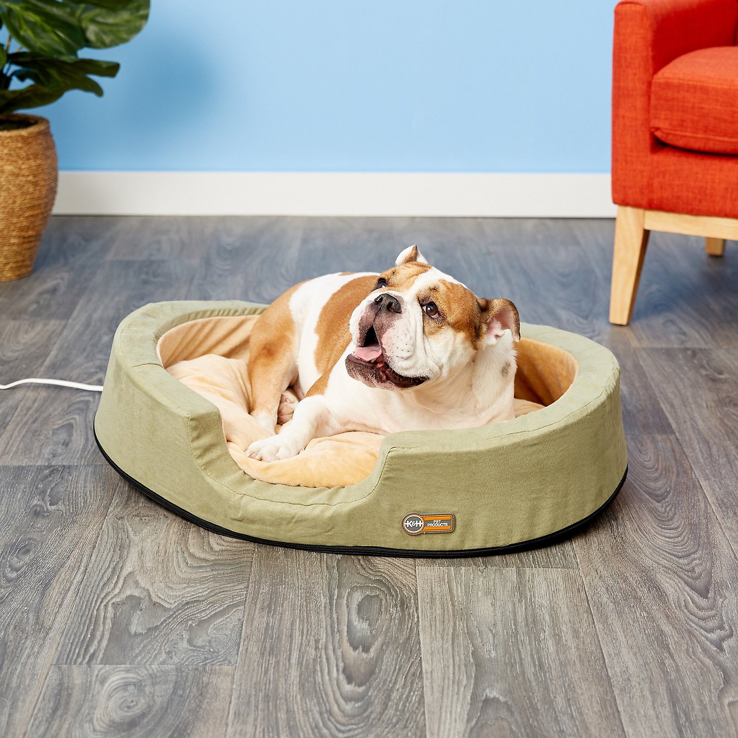 Heated Pet Bed