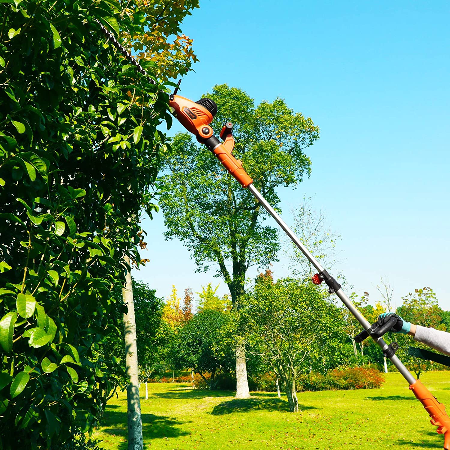Hedge Trimmer