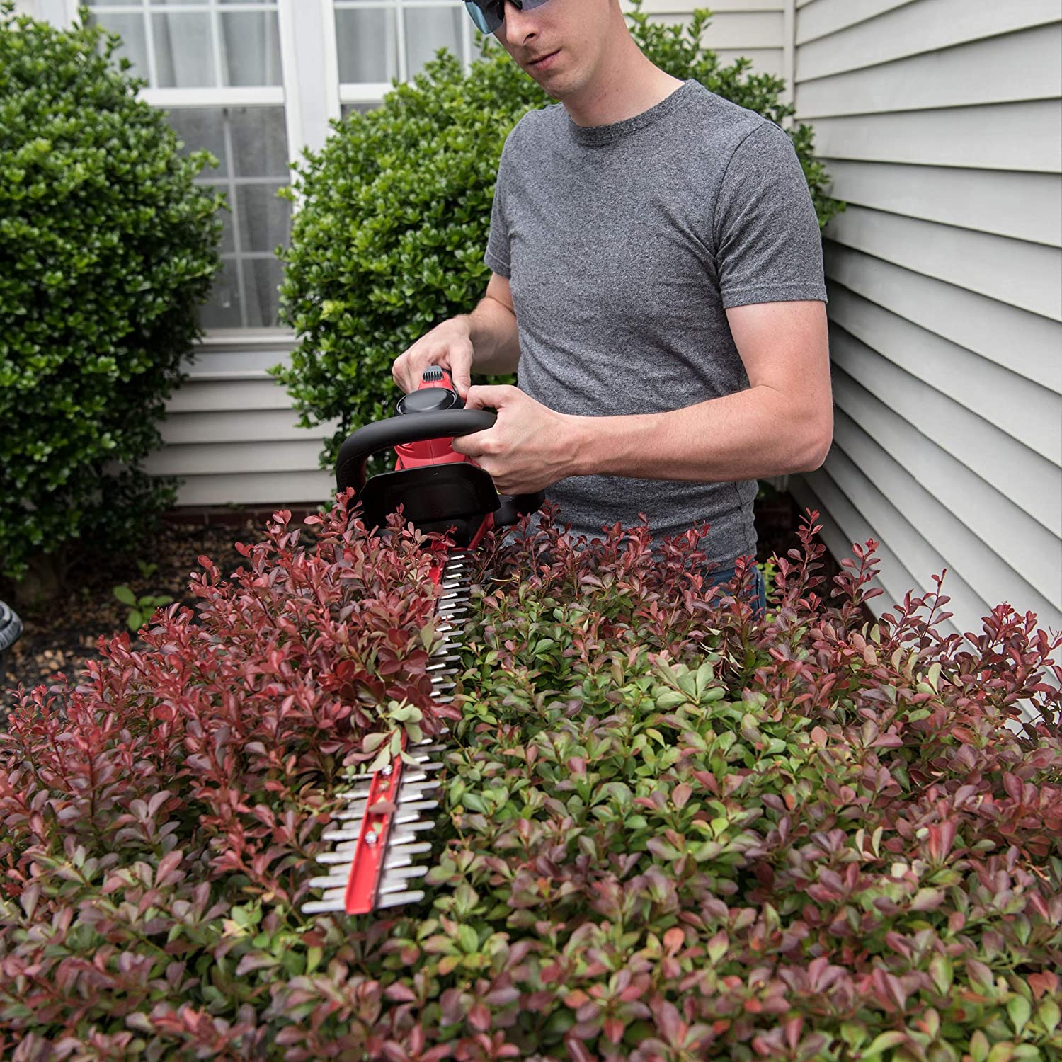 Hedge Trimmer