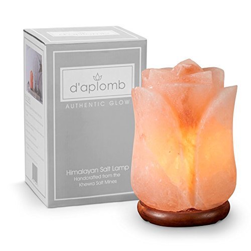 Himalayan Glow Crystal Salt Lamp