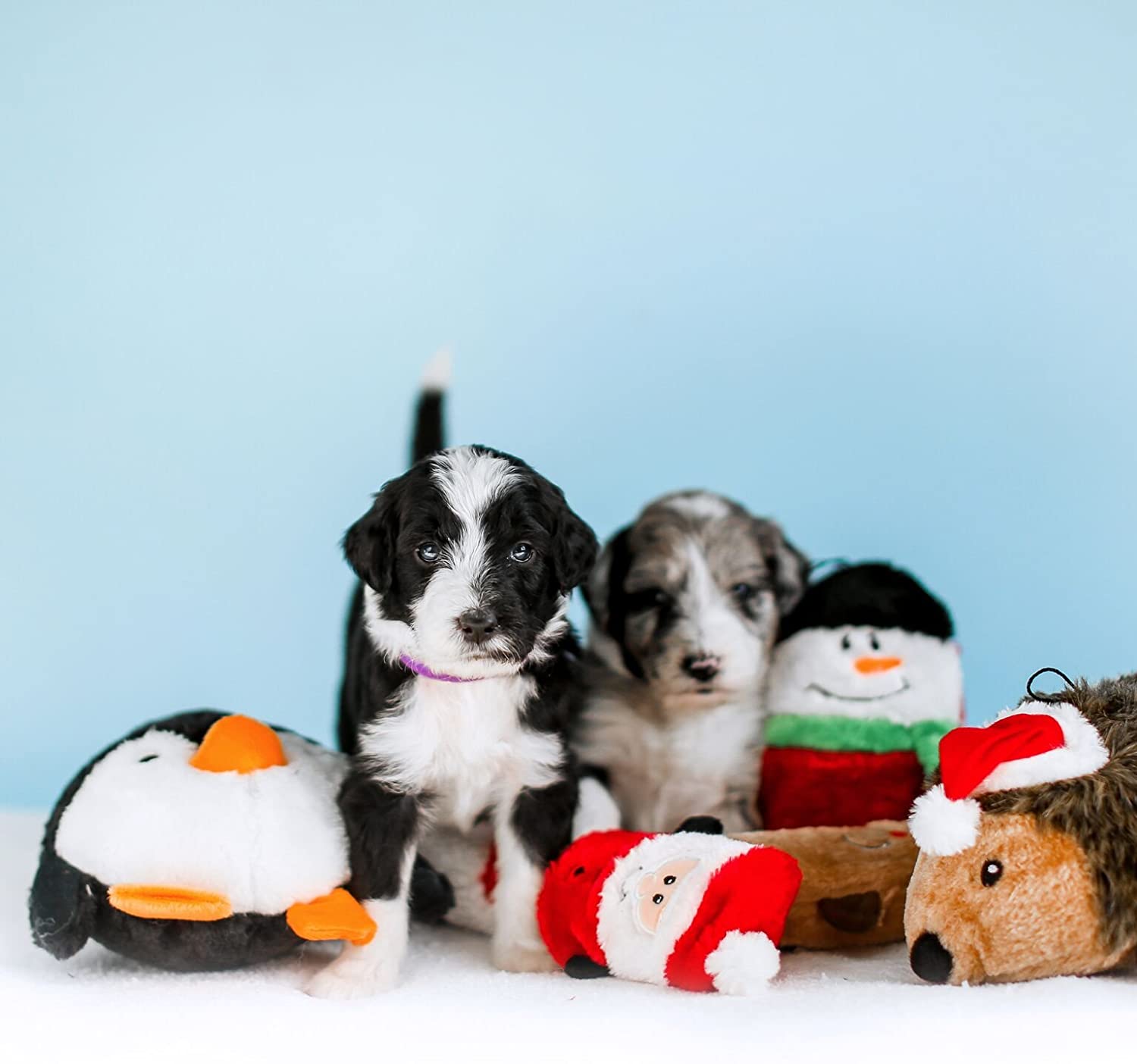 Holiday Buddies Plush Dog Toys