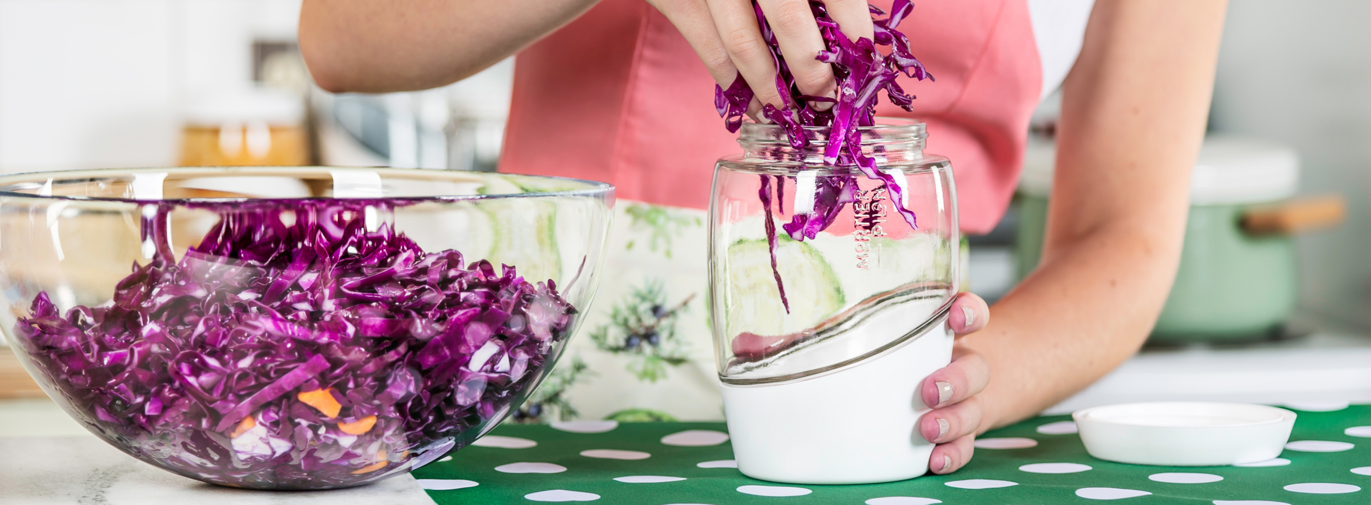 Home Fermentation Kit