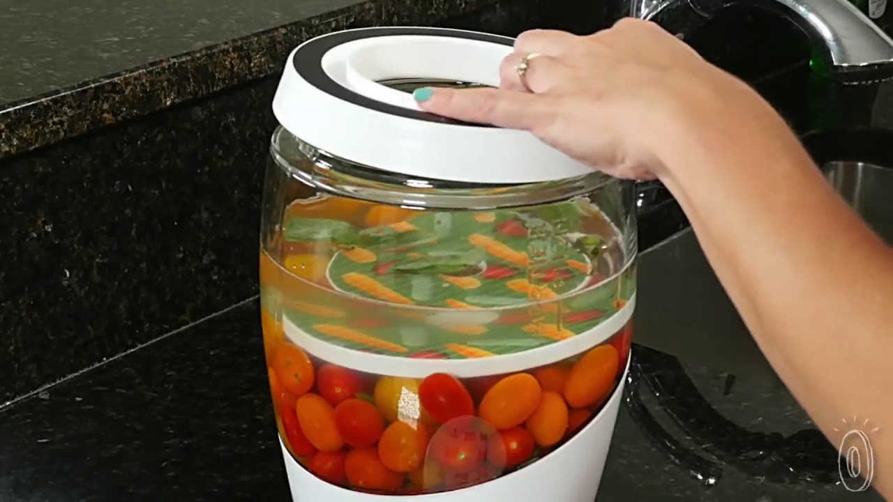 Home Fermentation Kit