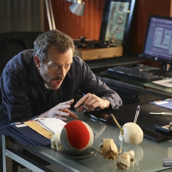 House MD Oversized Tennis Ball