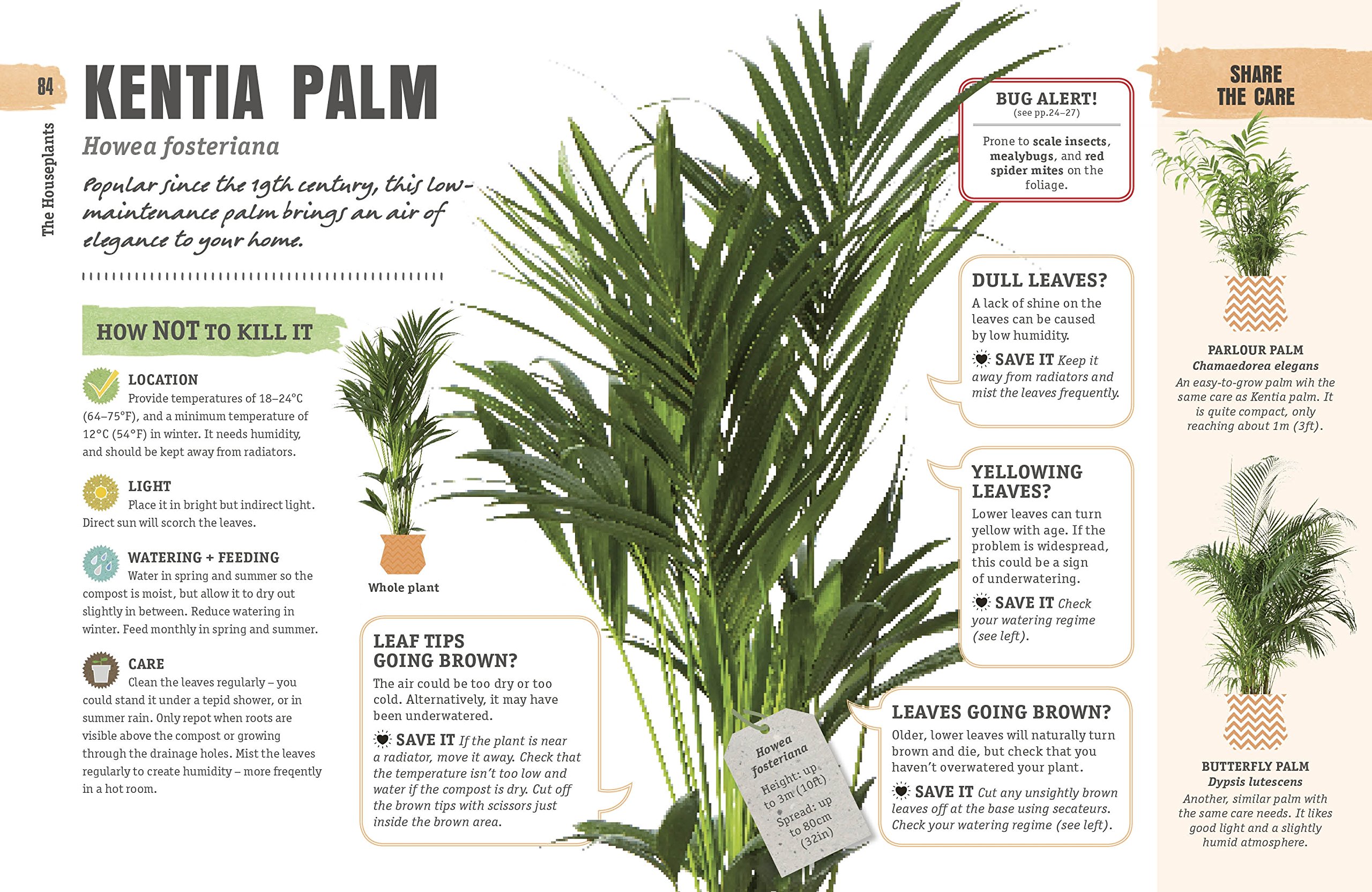 How Not to Kill Your Houseplant: Survival Tips for the Horticulturally Challenged