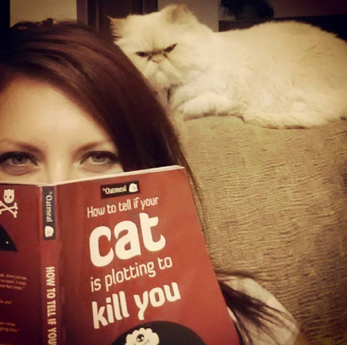 How to Tell If Your Cat Is Plotting to Kill You