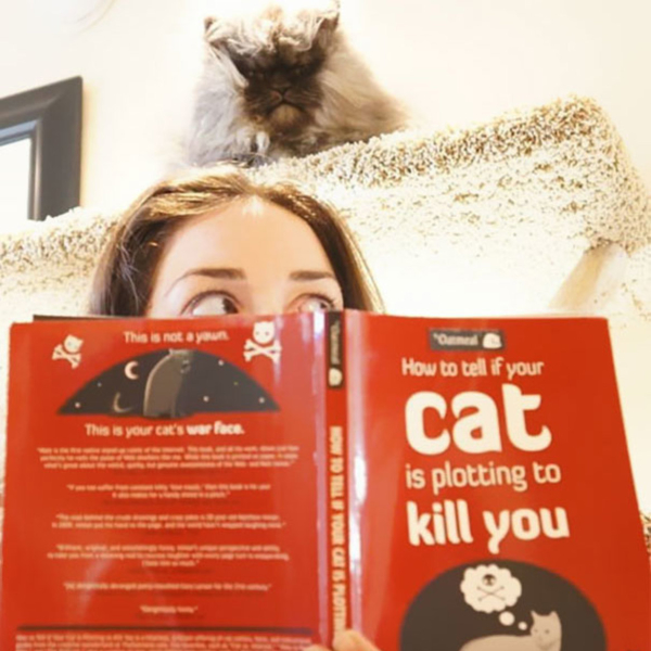 How to Tell If Your Cat Is Plotting to Kill You