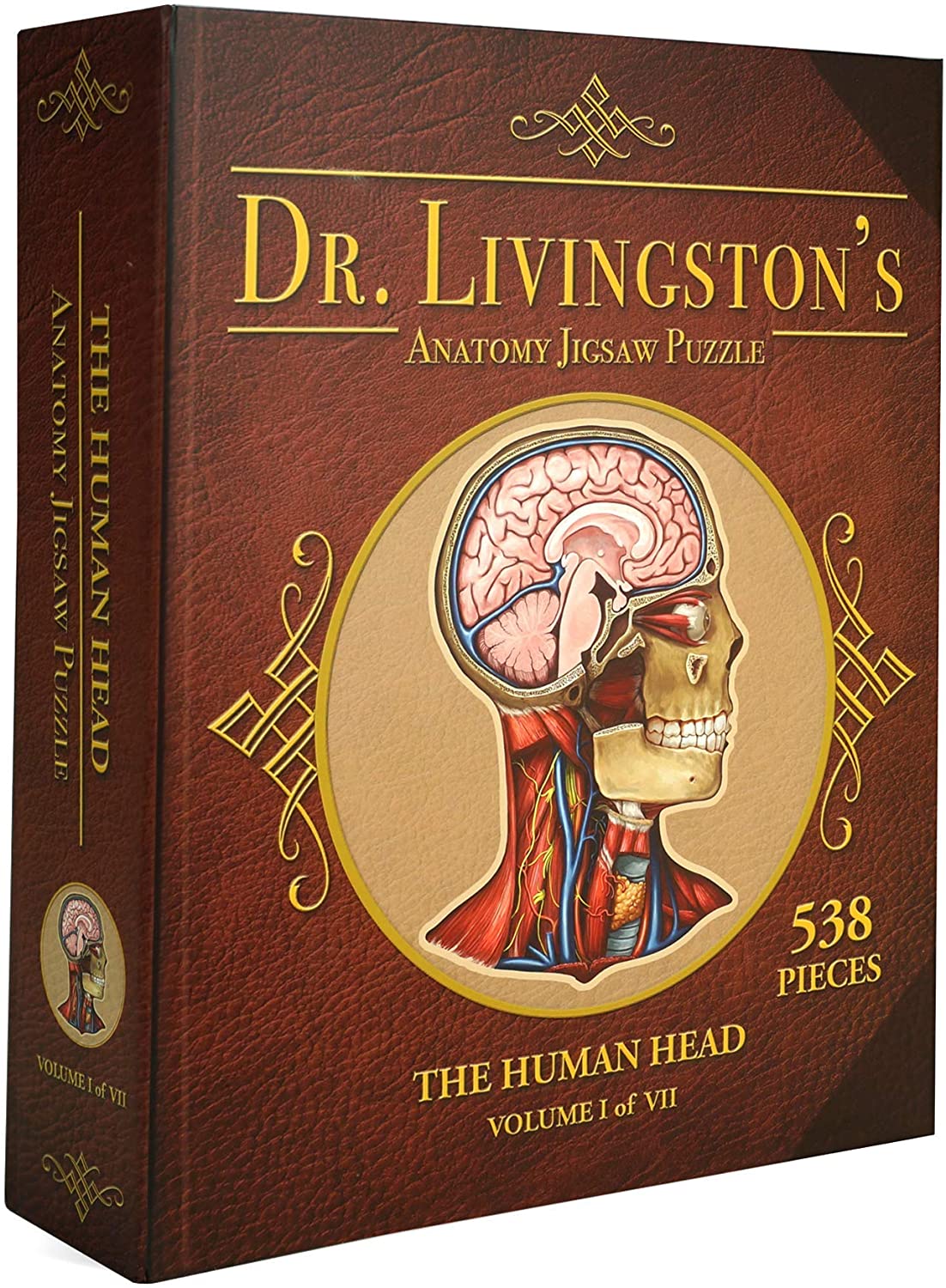 Human Head Anatomy Jigsaw Puzzle