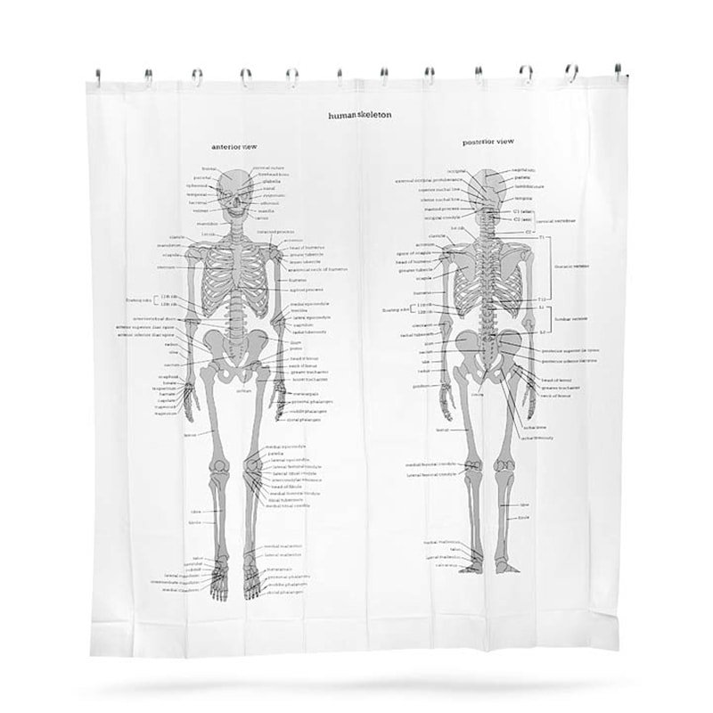 Human Skeleton Shower Curtain