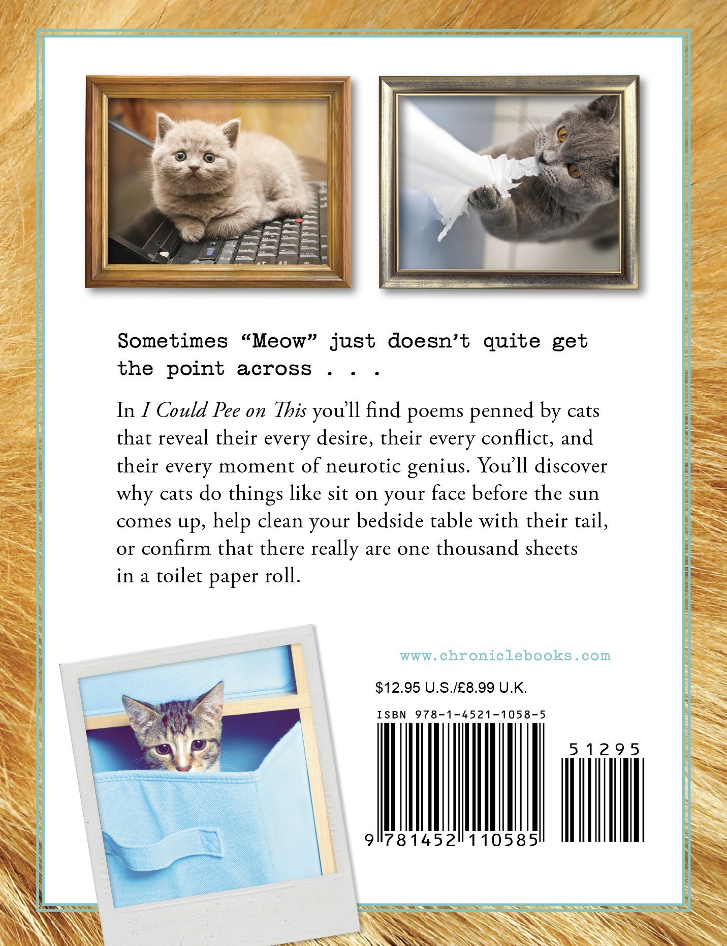 I Could Pee on This: And Other Poems by Cats