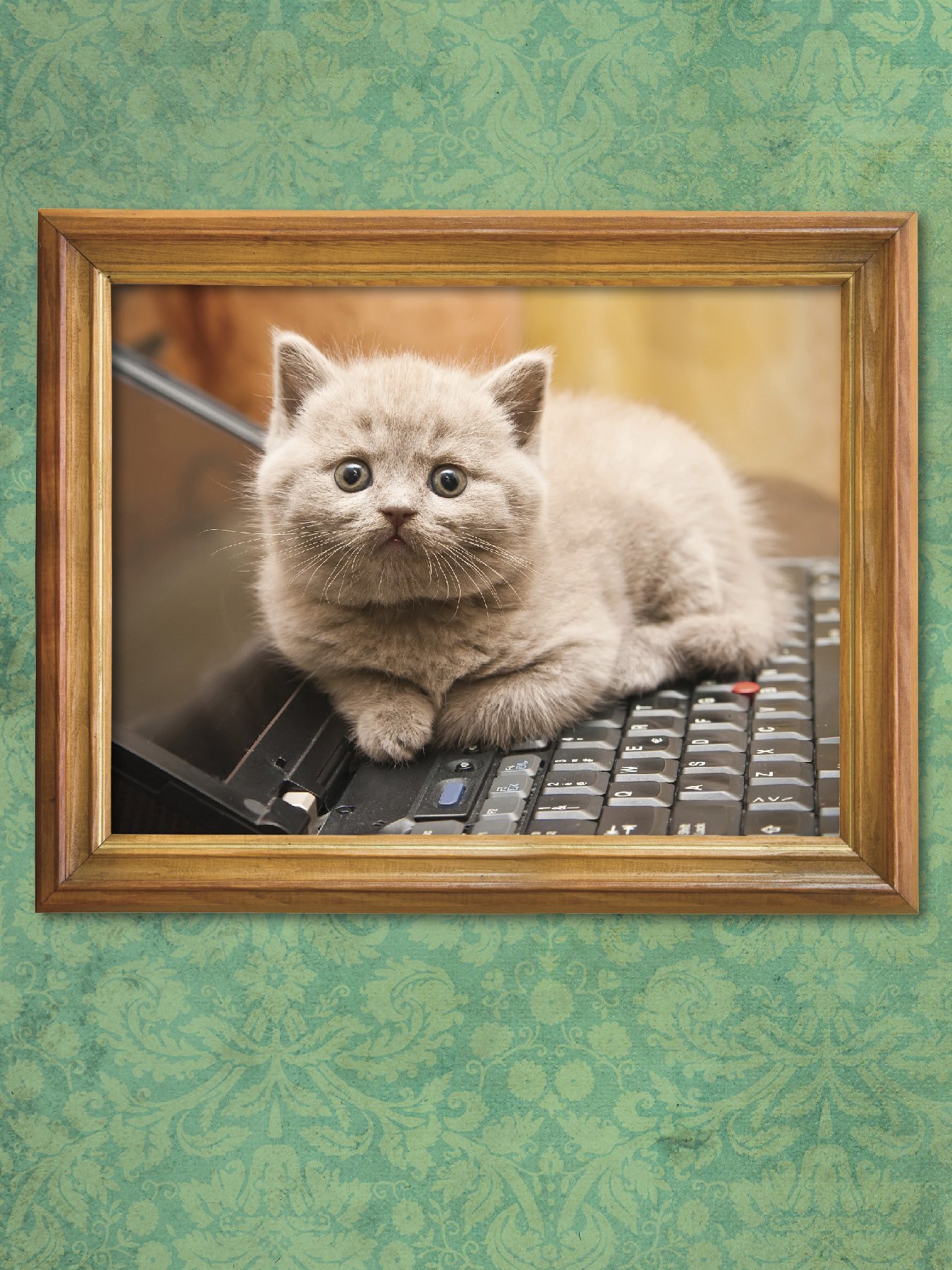 I Could Pee on This: And Other Poems by Cats