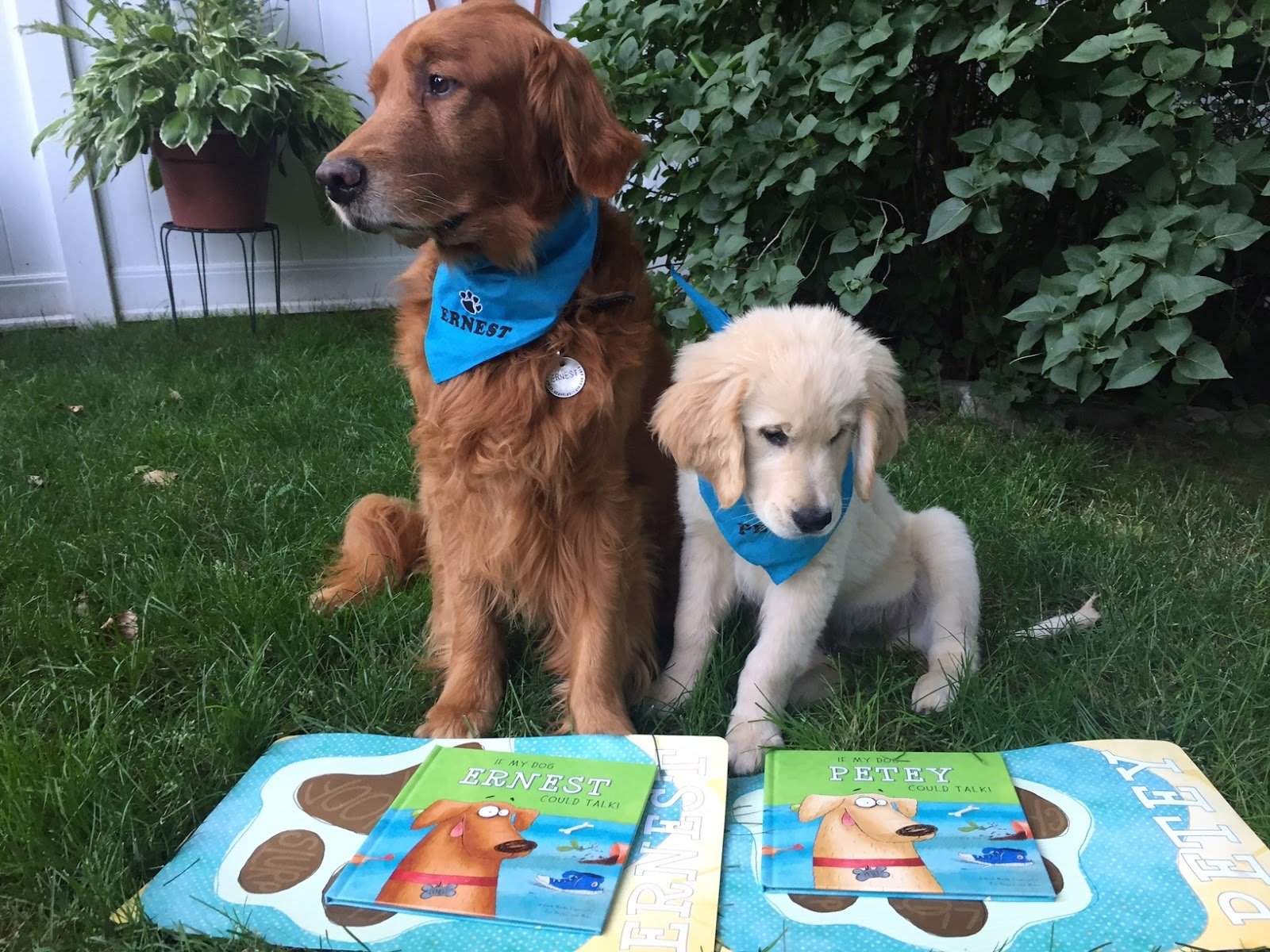 If My Dog Could Talk Personalized Book