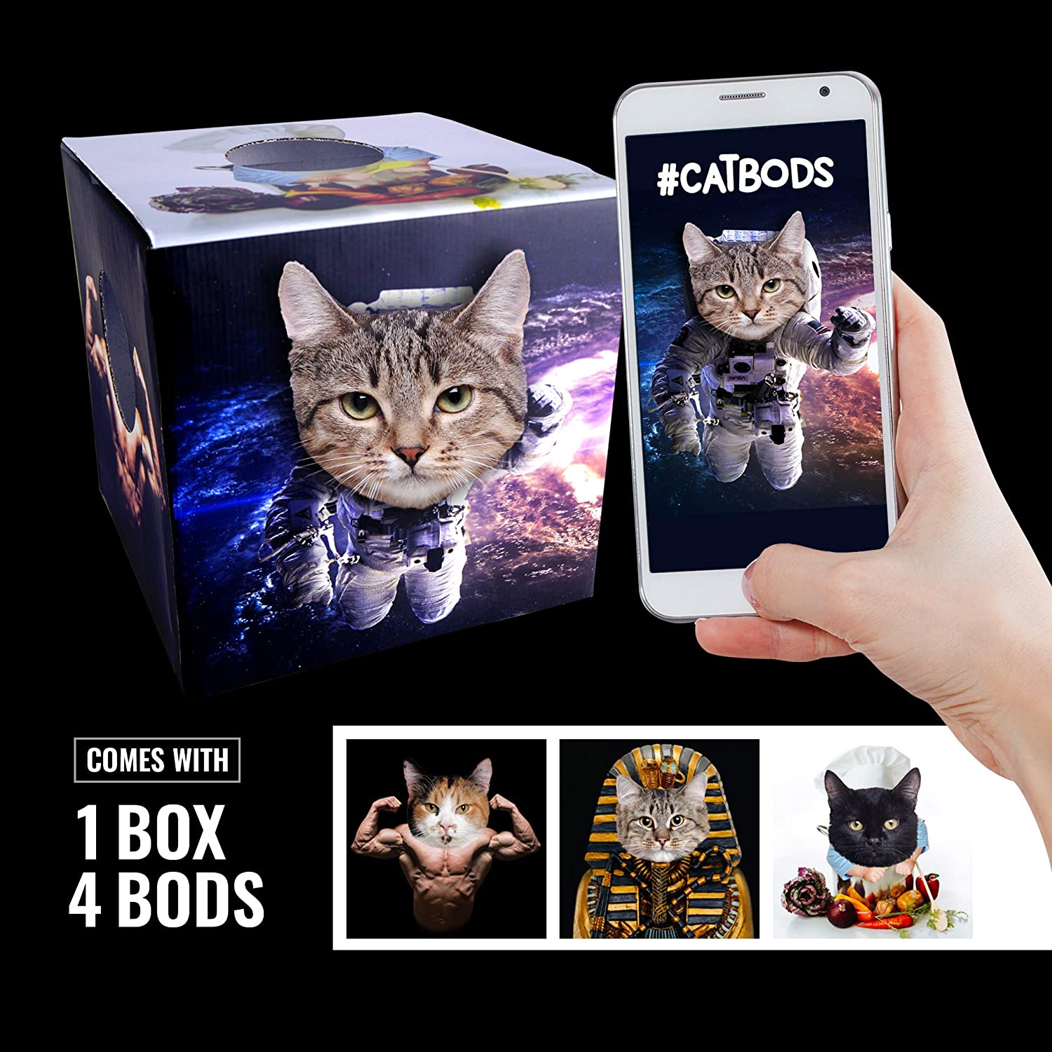 Interactive Cardboard Cat Toy Box