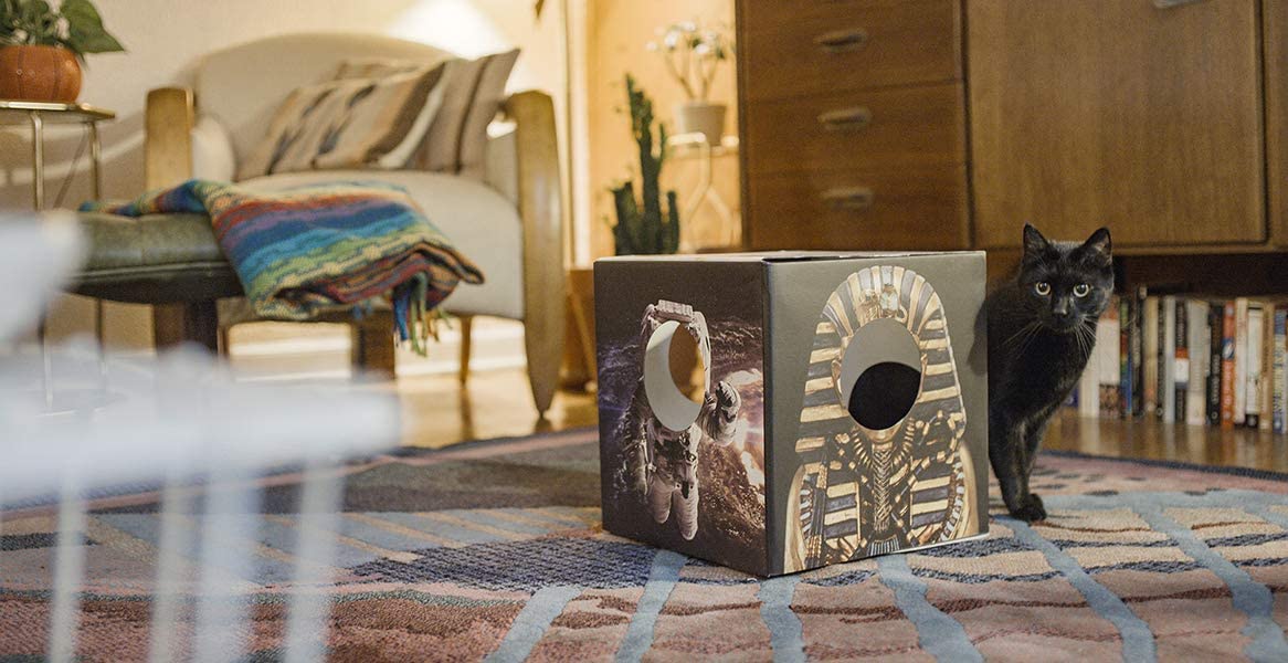 Interactive Cardboard Cat Toy Box