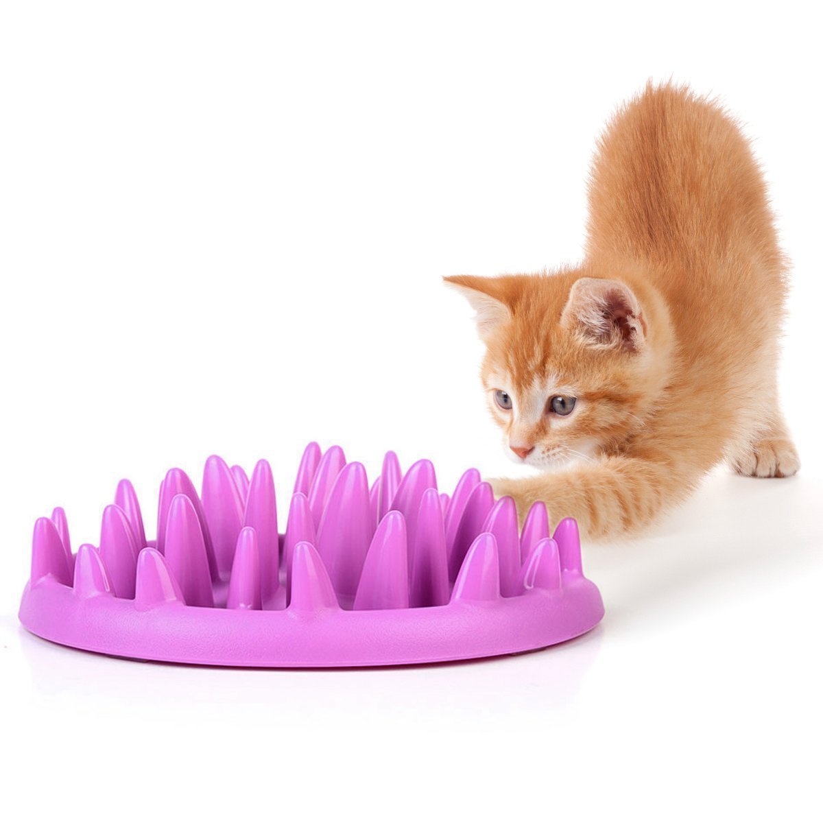 interactive cat bowl