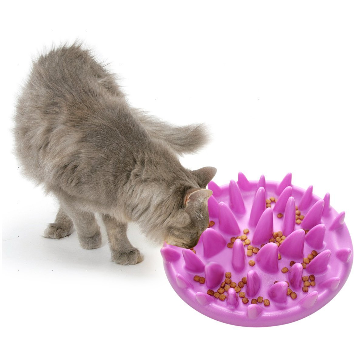 interactive cat feeder