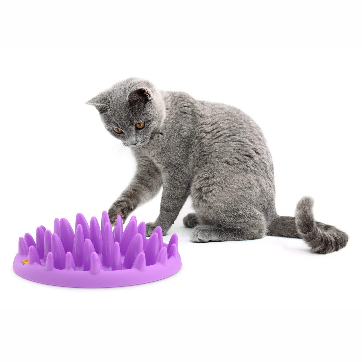 Interactive Cat Feeder