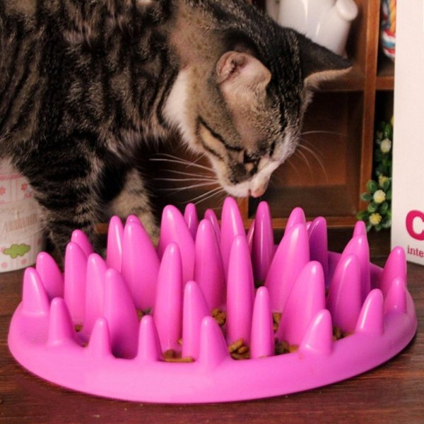 interactive cat feeder