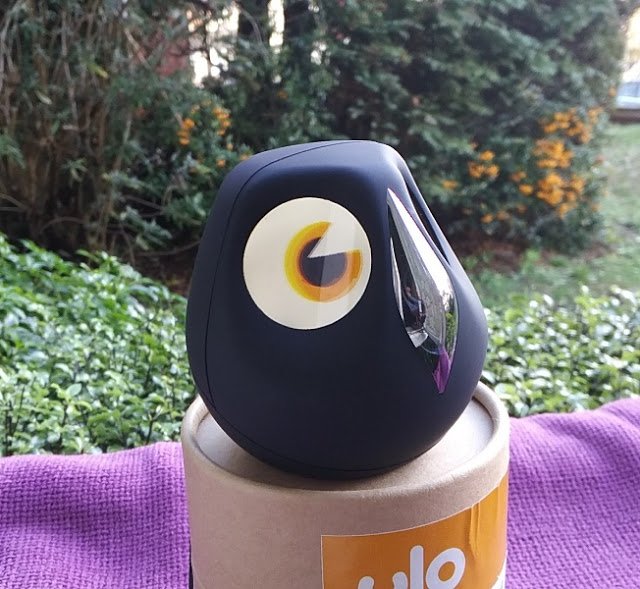 Interactive Home Monitoring Owl