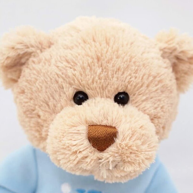 It’s a Boy T-Shirt Teddy Bear