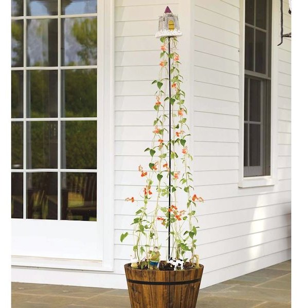 Jack In The Beanstock Trellis
