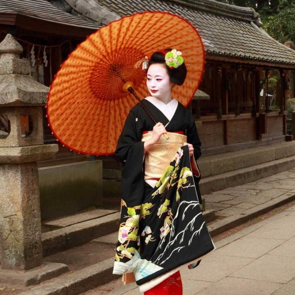 Japanese Paper Umbrella - Wagasa