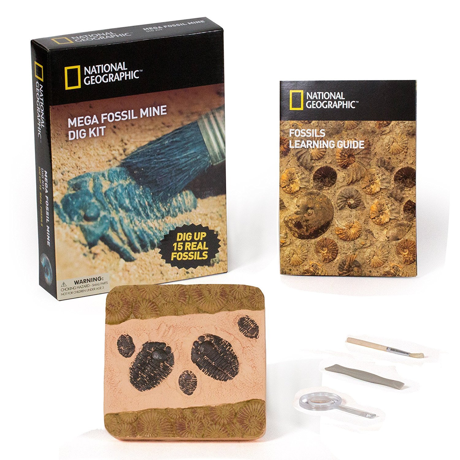 Kids' Dinosaur Digging Kit