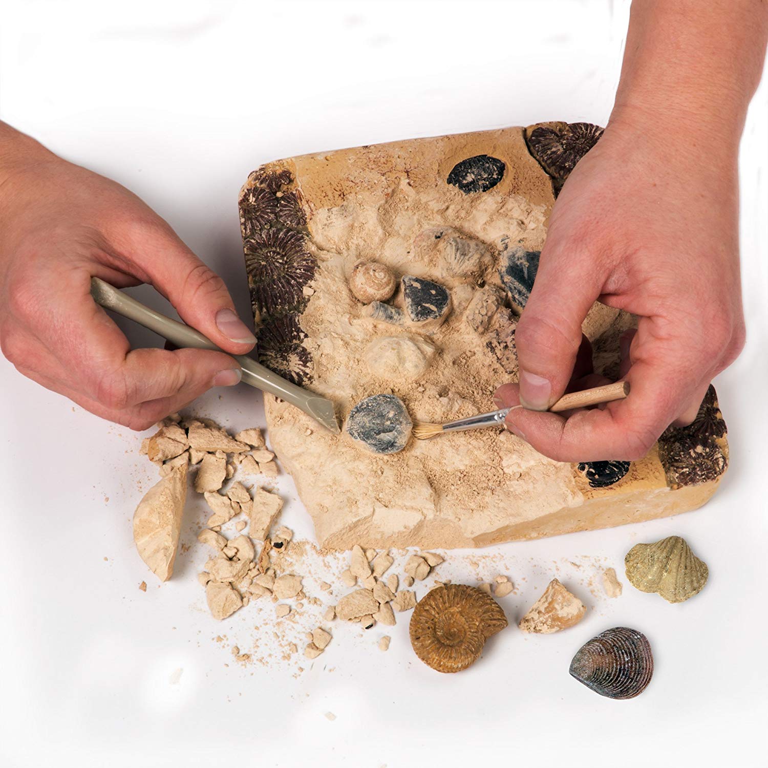 Kids' Dinosaur Digging Kit