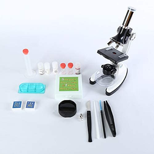 Kids' Microscope